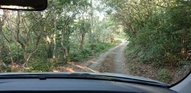 譏・縺ョ蟾・蝣エ驕汝沛橸ク