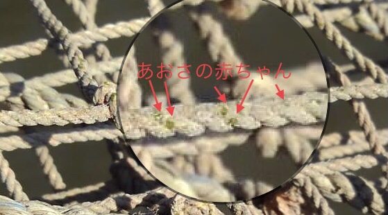 津波é¿é›£å¡”ã‚‚ã‚りã¾ã™